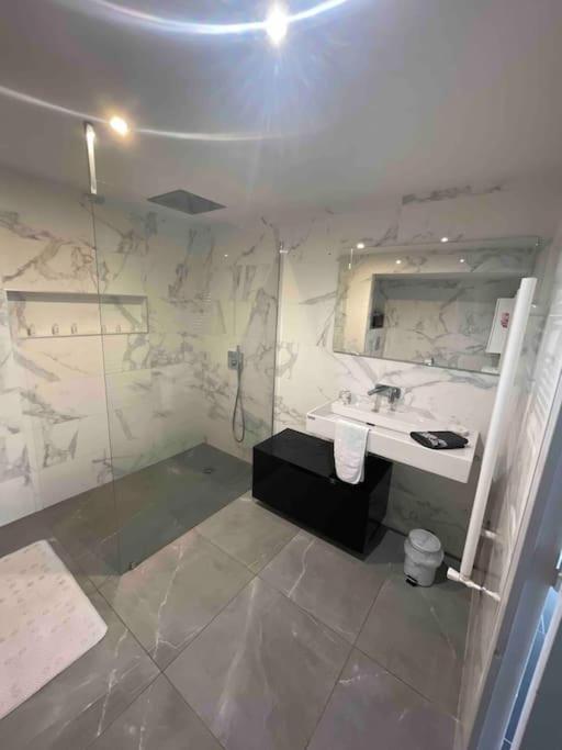 Grand Appartement Avec Vue Magnifique - Vercors - Une Experience Unique - Wifi Gratuit Grenoble Exterior foto