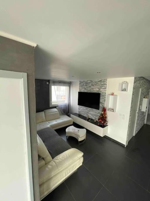 Grand Appartement Avec Vue Magnifique - Vercors - Une Experience Unique - Wifi Gratuit Grenoble Exterior foto